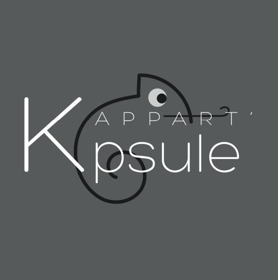 L'Appart K-Psule - Design, Tout Confort, Centre-Ville, 3 Pers Λε Μανς Εξωτερικό φωτογραφία